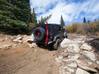 TwinCone-8798 : Fall Color, Jeep