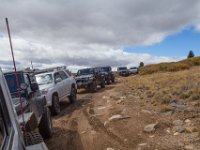 TwinCone-8818 : Fall Color, Jeep