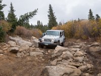 TwinCone-8861 : Fall Color, Jeep