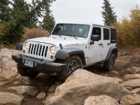 TwinCone-8862 : Fall Color, Jeep