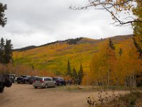 TwinCone-8867 : Fall Color, Jeep