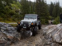 HOPL1TE-8300 : Jeep, Wheeler Lake