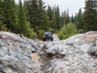 HOPL1TE-8343 : Jeep, Wheeler Lake