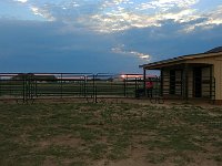 McKissick--12 : McKissick