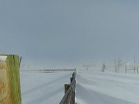 20190314 084848 resized