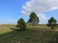 McKissick--16 : McKissick