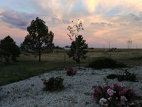 McKissick--23 : McKissick