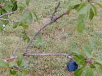 20170905 141546 resized