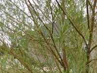 20170905 141957 resized