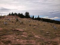 SchLoopNight-3671 : Jeep