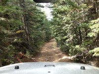 CoFamJennyCreek-3099 : Jeep