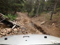 CoFamJennyCreek-3130 : Jeep