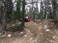 CoFamJennyCreek-3134 : Jeep