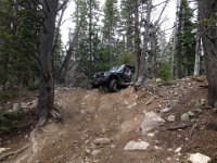 CoFamJennyCreek-3139 : Jeep
