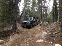 CoFamJennyCreek-3140 : Jeep