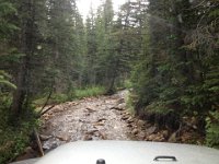 CoFamJennyCreek-3148 : Jeep