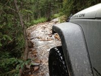 CoFamJennyCreek-3150 : Jeep