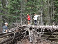 CoFamJennyCreek-3163 : Jeep