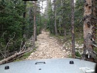 CoFamJennyCreek-3172 : Jeep