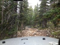 CoFamJennyCreek-3173 : Jeep