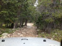 CoFamJennyCreek-3175 : Jeep