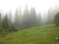 DSCF0328 zps4497114f