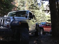MSV-3260 : Jeep