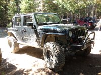 MSV-3272 : Jeep