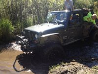 MSV-9979 : Jeep