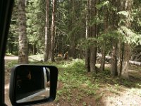 140710-0000204031-GP5B8818