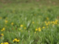 140710-0000204031-GP5B8954