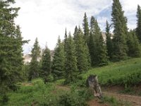 140712-0000204031-GP5B9029