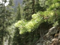 140712-0000204031-GP5B9098 : Jeep