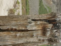 140712-0000204031-GP5B9109