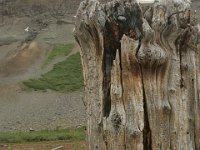 140712-0000204031-GP5B9112 : Jeep