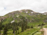 BlackBear-1351 : Jeep, Ouray