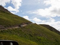 BlackBear-1358 : Jeep, Ouray