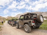 BlackBear-1369 : Jeep, Ouray