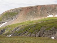 BlackBear-1373 : Jeep, Ouray