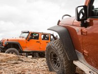 BlackBear-1394 : Jeep, Ouray