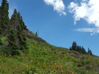 x20150727 100338 : 2015, Family, Jeeping, Mountains, Ouray, Vacation