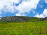 x20150727 100802 : 2015, Family, Jeeping, Mountains, Ouray, Vacation