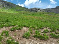 x20150727 100823 : 2015, Family, Jeeping, Mountains, Ouray, Vacation