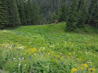 x20150728 145106 : 2015, Family, Jeeping, Mountains, Ouray, Vacation
