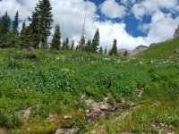 x20150727 160621 : 2015, Family, Jeeping, Mountains, Ouray, Vacation