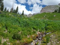 x20150727 160627 : 2015, Family, Jeeping, Mountains, Ouray, Vacation