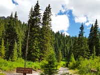 x20150727 161303 : 2015, Family, Jeeping, Mountains, Ouray, Vacation