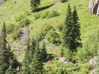 Ouray15-1508 : Jeep, Ouray