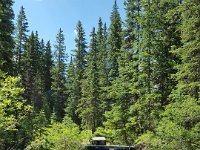 x20150728 105151 : 2015, Family, Jeeping, Mountains, Ouray, Vacation