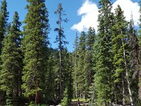 x20150728 111432 : 2015, Family, Jeeping, Mountains, Ouray, Vacation